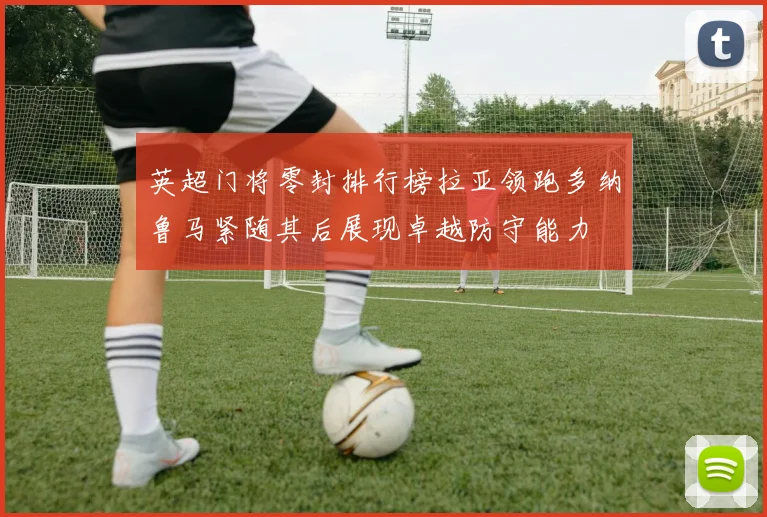 英超门将零封排行榜拉亚领跑多纳鲁马紧随其后展现卓越防守能力