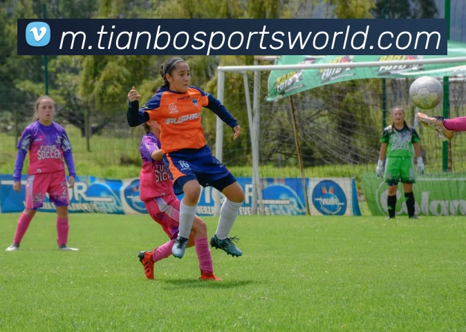 天博体育品牌故事