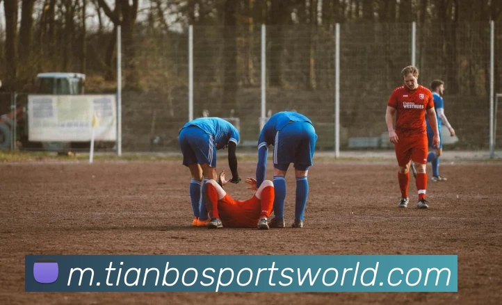 天博体育服务体系